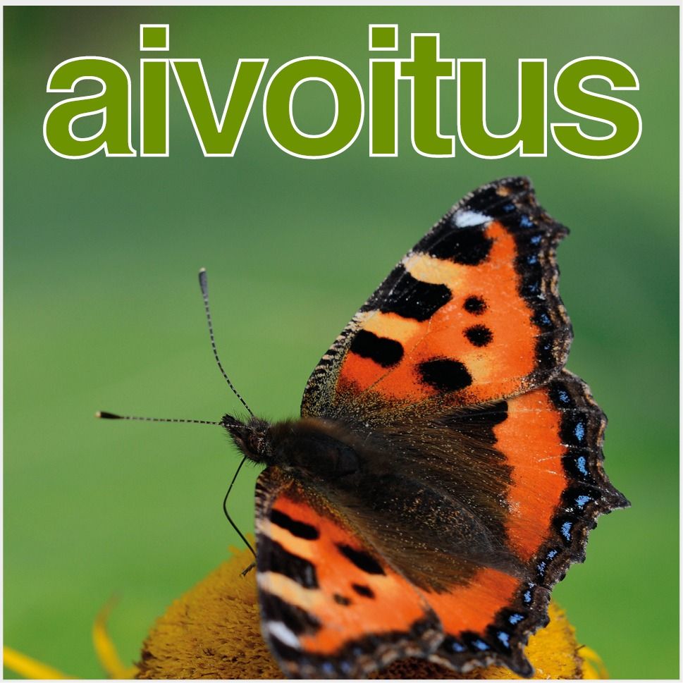 Aivovammaliitto lapset ja nuoret Tiina Säynäjoki