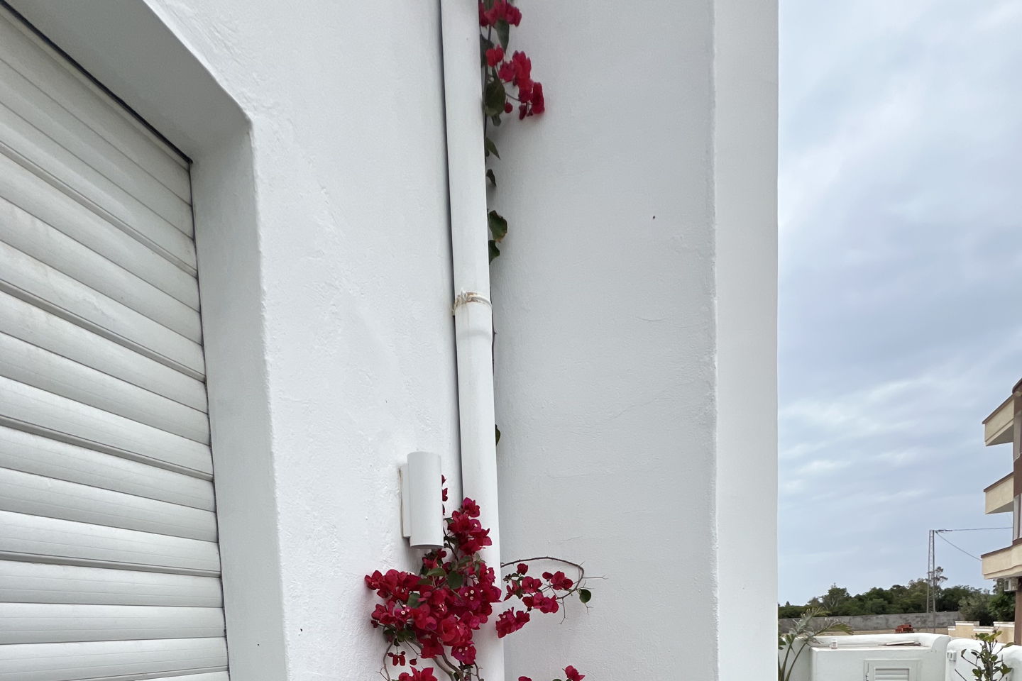 slider-image