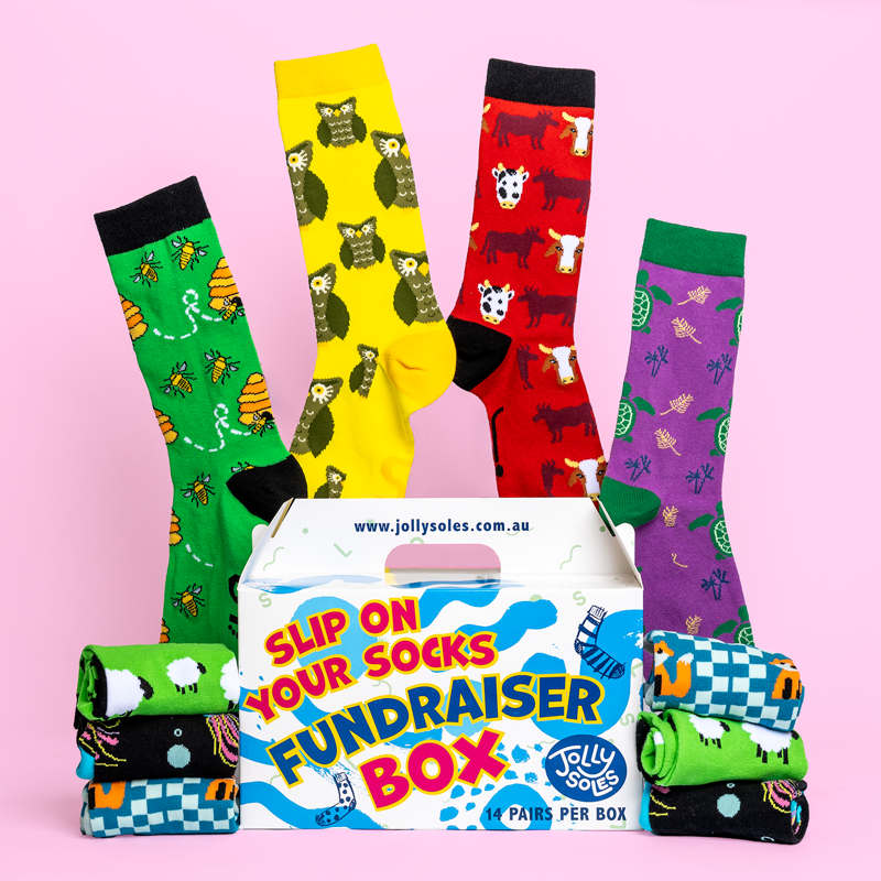 Jolly Soles Animal Fundraiser Sock Box