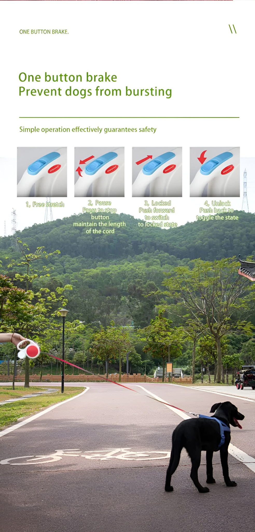 5M Retractable Dog Leash - With Small Box, Suitable For Small And Medium Dogs - Image 10