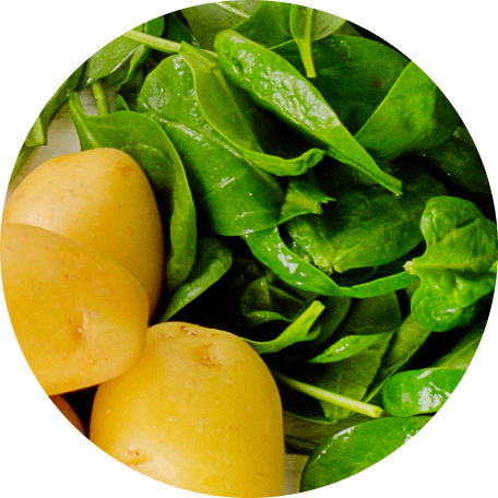 Ashwagandha Extract
