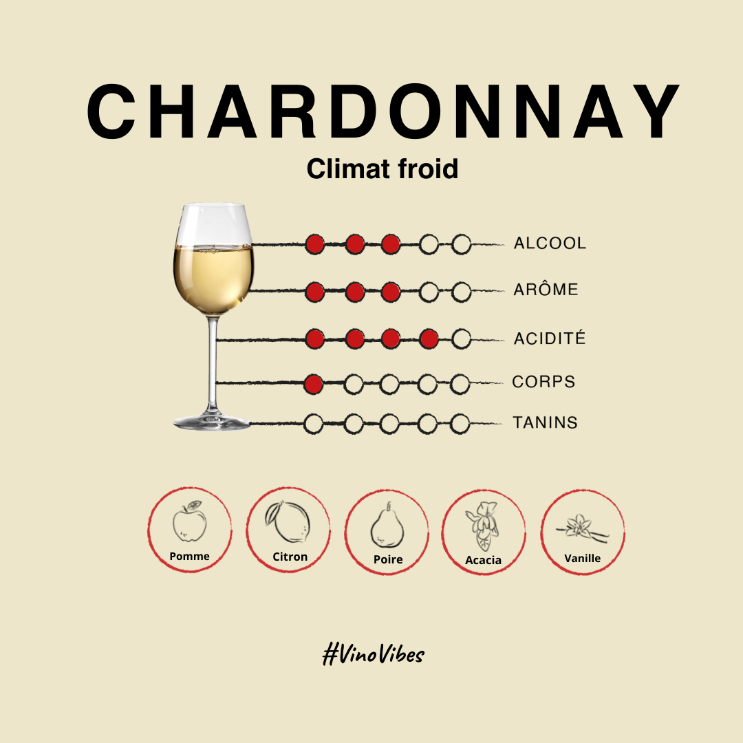 illustration cépage Chardonnay