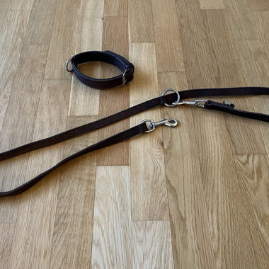 Hundeleine + Halsband