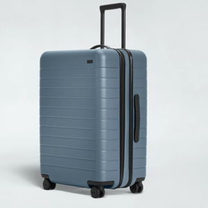 Away Medium Flex Luggage in Coast