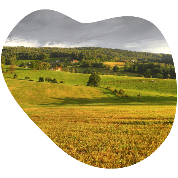 Ländliche Szenerie mit Feldern in Abendsonne, am Himmel leichte Wolken