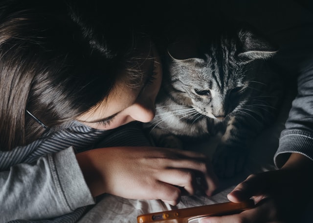 woman with a tabby cat and her phone, both of them looking at the screen