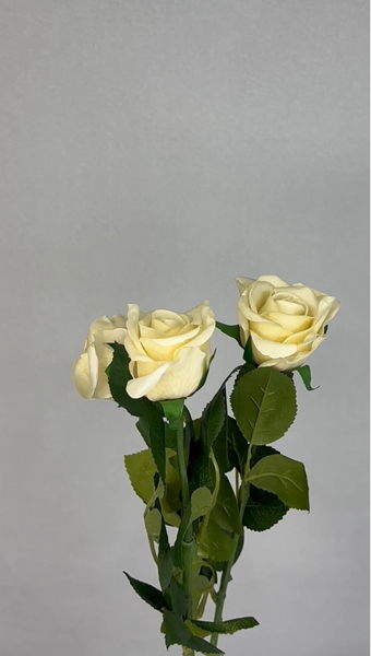 Cream Real Touch Half Bloom Roses - Realistic Artificial Flowers - Image 4