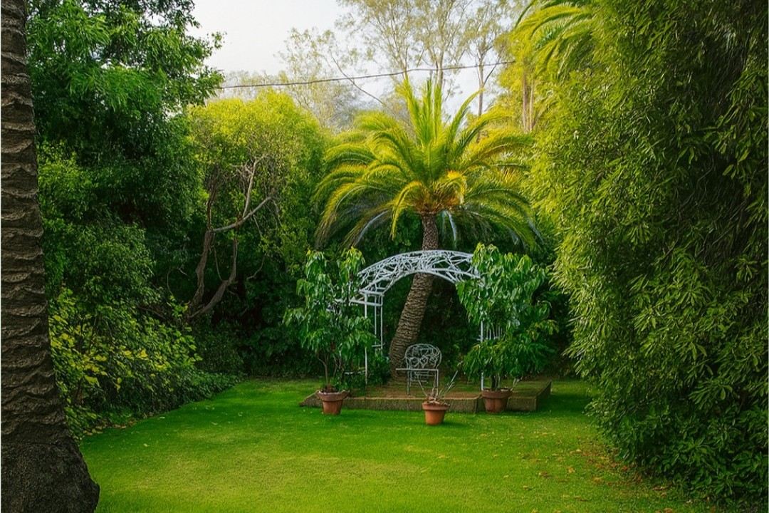 Sanctuary House Resort Motel Voucher - Image 20