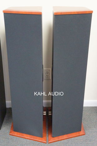 Von Schweikert Audio VR-22 floorstanding speakers. Lots...