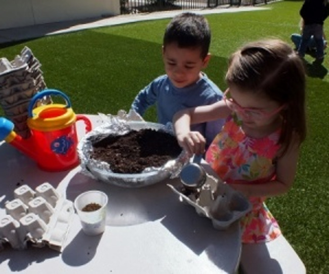 Primrose students plant seeds in recycled egg cartons to learn about how flowers grow