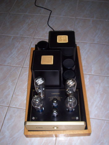 Cary 211M Mono Block Amplifier