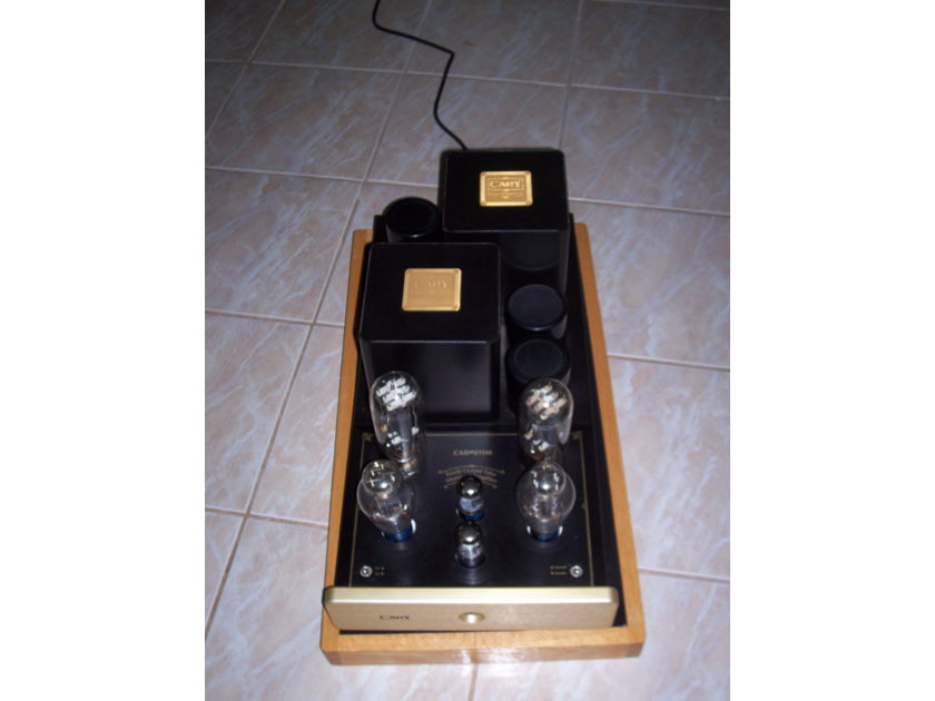 Cary 211M Mono Block Amplifier