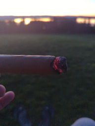 Cigar Session Photo
