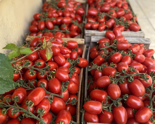 Corsi di cucina Modica: Sapori d’estate: la tradizione della salsa di pomodoro