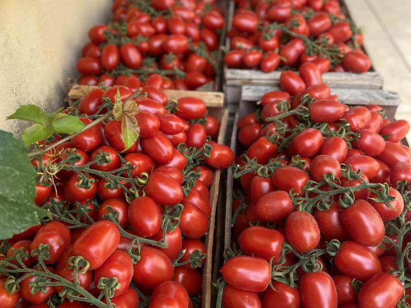 Cooking classes Modica: Flavors of summer: the tradition of tomato sauce