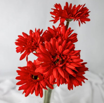 Red Real Touch Gerbera - Realistic Artificial Flowers - Image 4