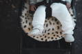 A pair of lambskin booties on a child's feet, sat on a leopard sheepskin liner