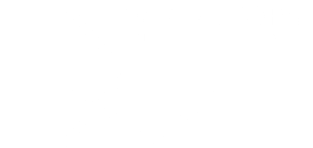 DV Realtors Team Logo