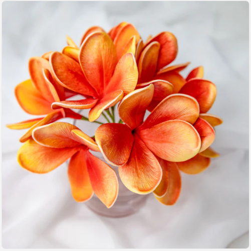 Tangerine Frangipani Flowerhead (6 Pack) - Realistic Artificial Flowers - Image 6