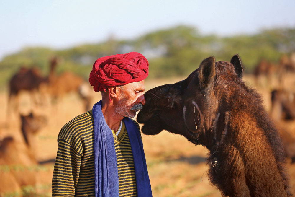 nomadic desert community