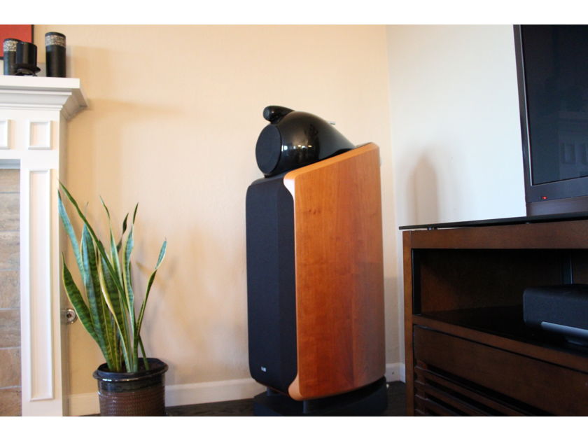 Bowers and Wilkins 802D RESERVE REDUCED