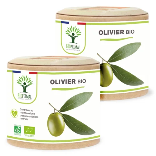 Bio Olivenbaum