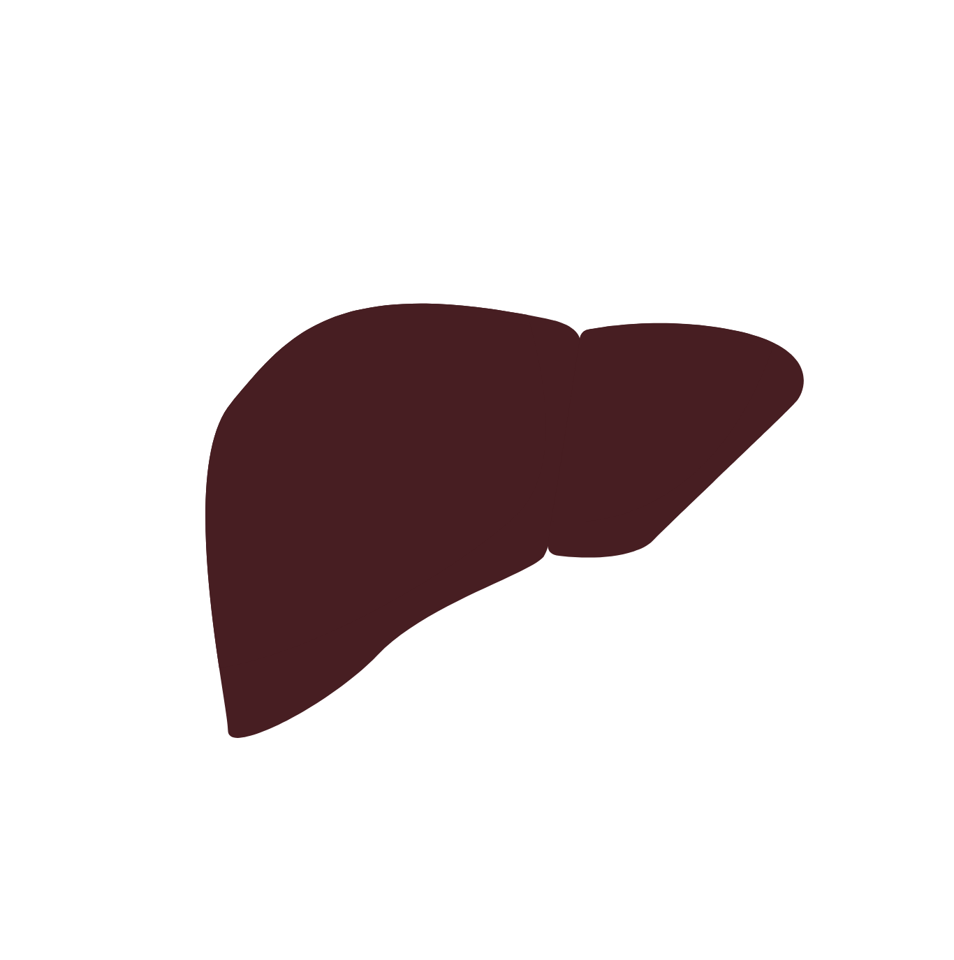 Eleutherococcus senticosus used in the best Multivitamins for men