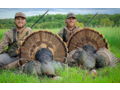 Eastern/Rio Hybrid Kansas Turkey Hunt for Four with KNS Outfitters