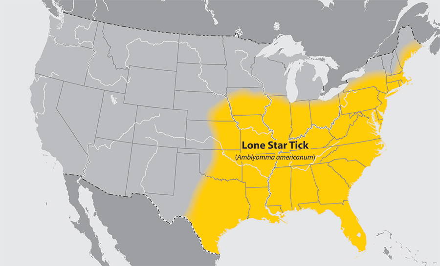 lone star tick map of the states