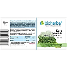 Kale Grün - Kohl, Brassica oleracea L., Tropfen, Tinktur 50 ml