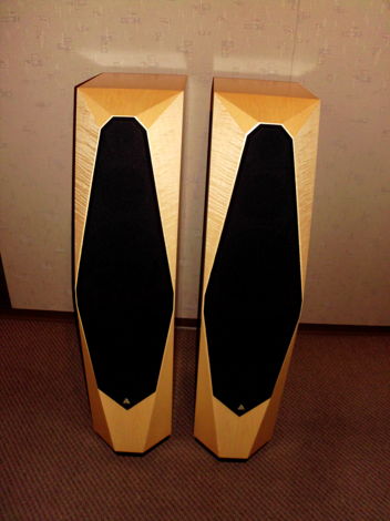 Avalon Acoustics Compas Demo Floor Standing Speakers