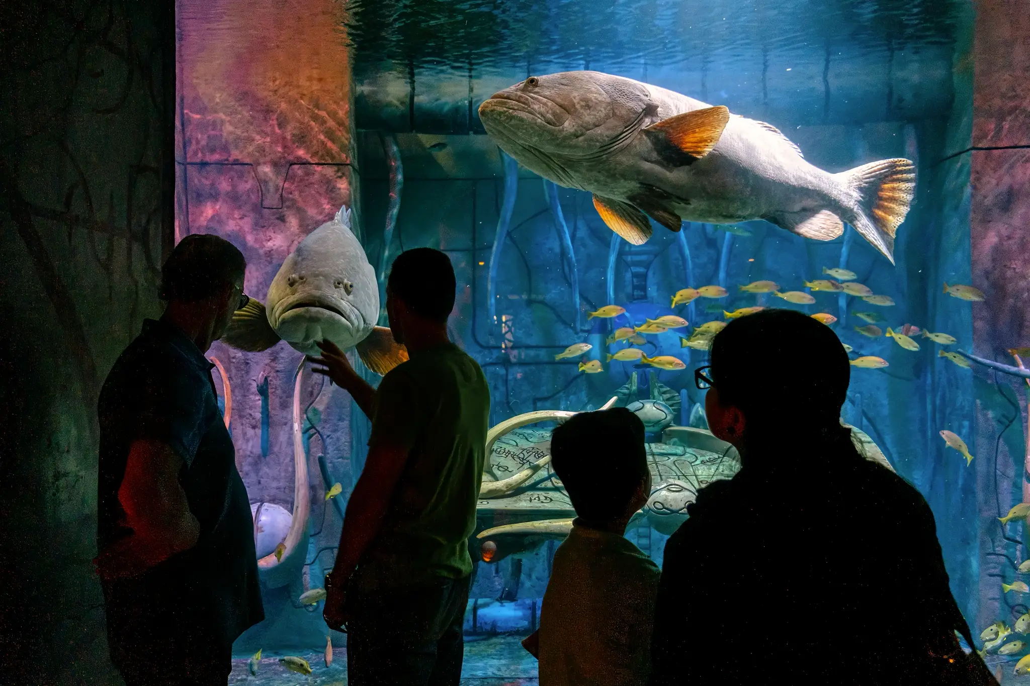 The Incredible Realm of The Lost Chambers Aquarium