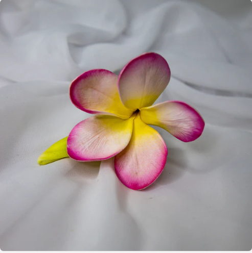 Light Pink with Buds Frangipani Flowerhead (6 Pack) - Realistic Artificial Flowers - Image 6