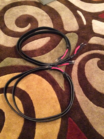Wireworld Gold Eclipse 6 2.5M Single Wire Speaker Cable...