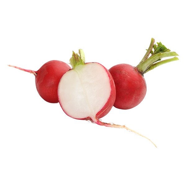 reduced cholesterol as benefit of the best probiotic supplement