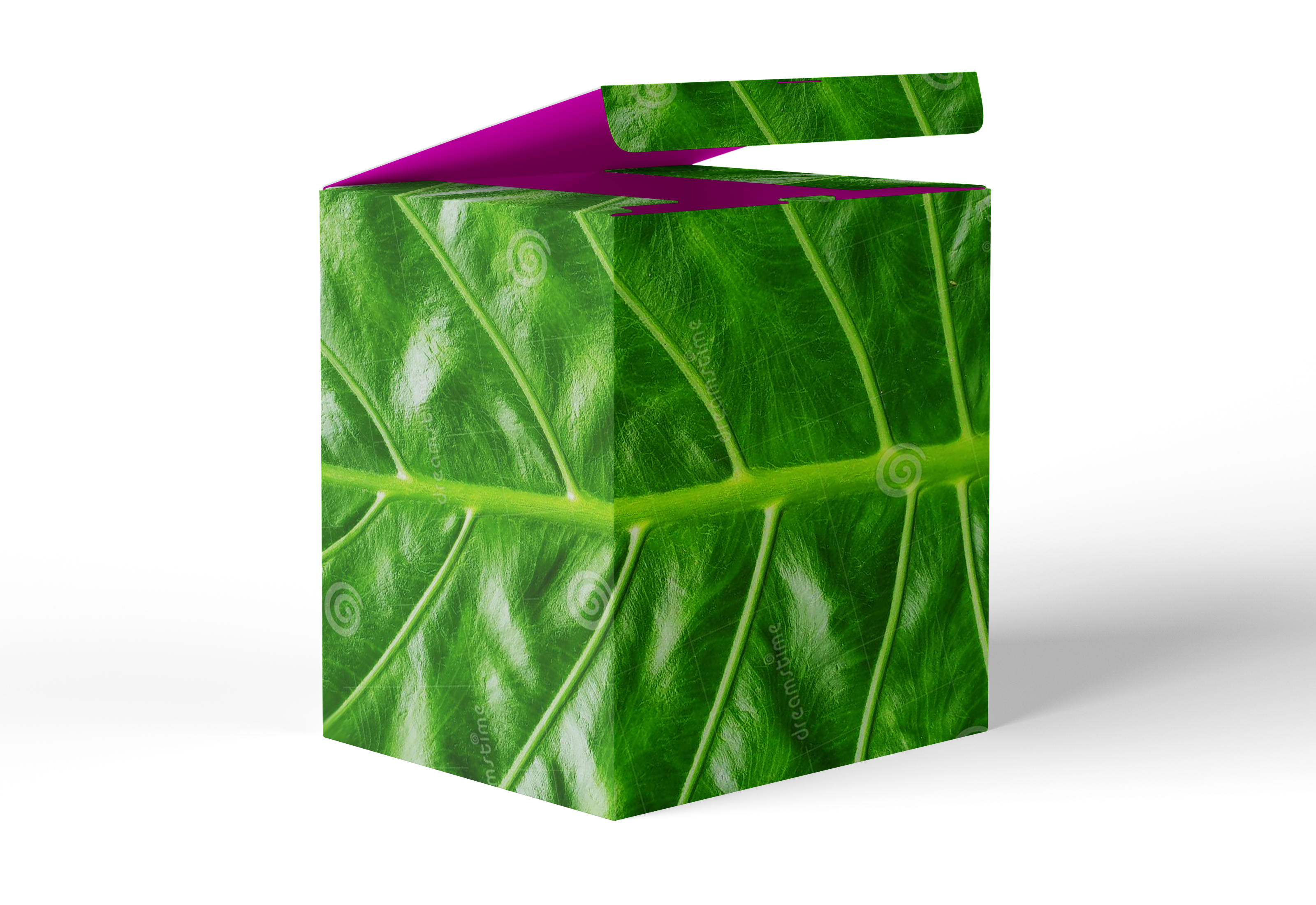 pcw coated  closeup leaf 7.16 transparent.png