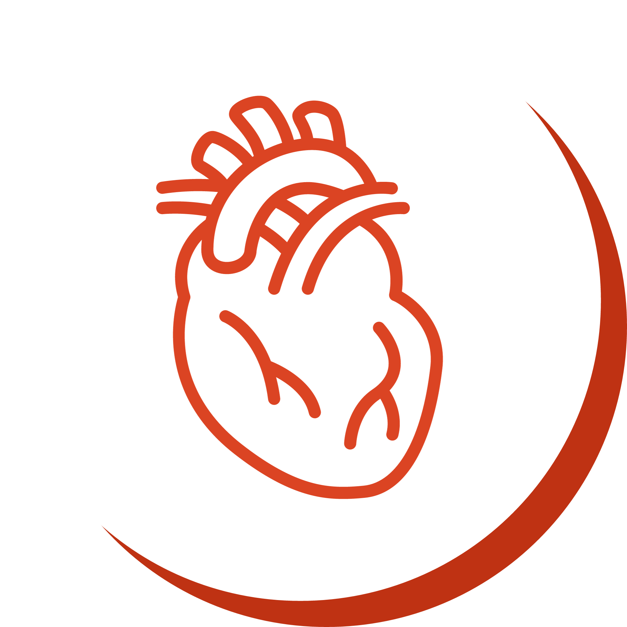 Reasons to choose nano singapore's Vitamin K2 with D3 Bone and Heart Health Supplement