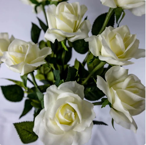 Off White Real Touch Open Bloom Rose - Realistic Artificial Flowers