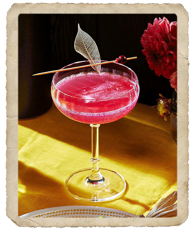 Prepared glass with red colored cocktail.