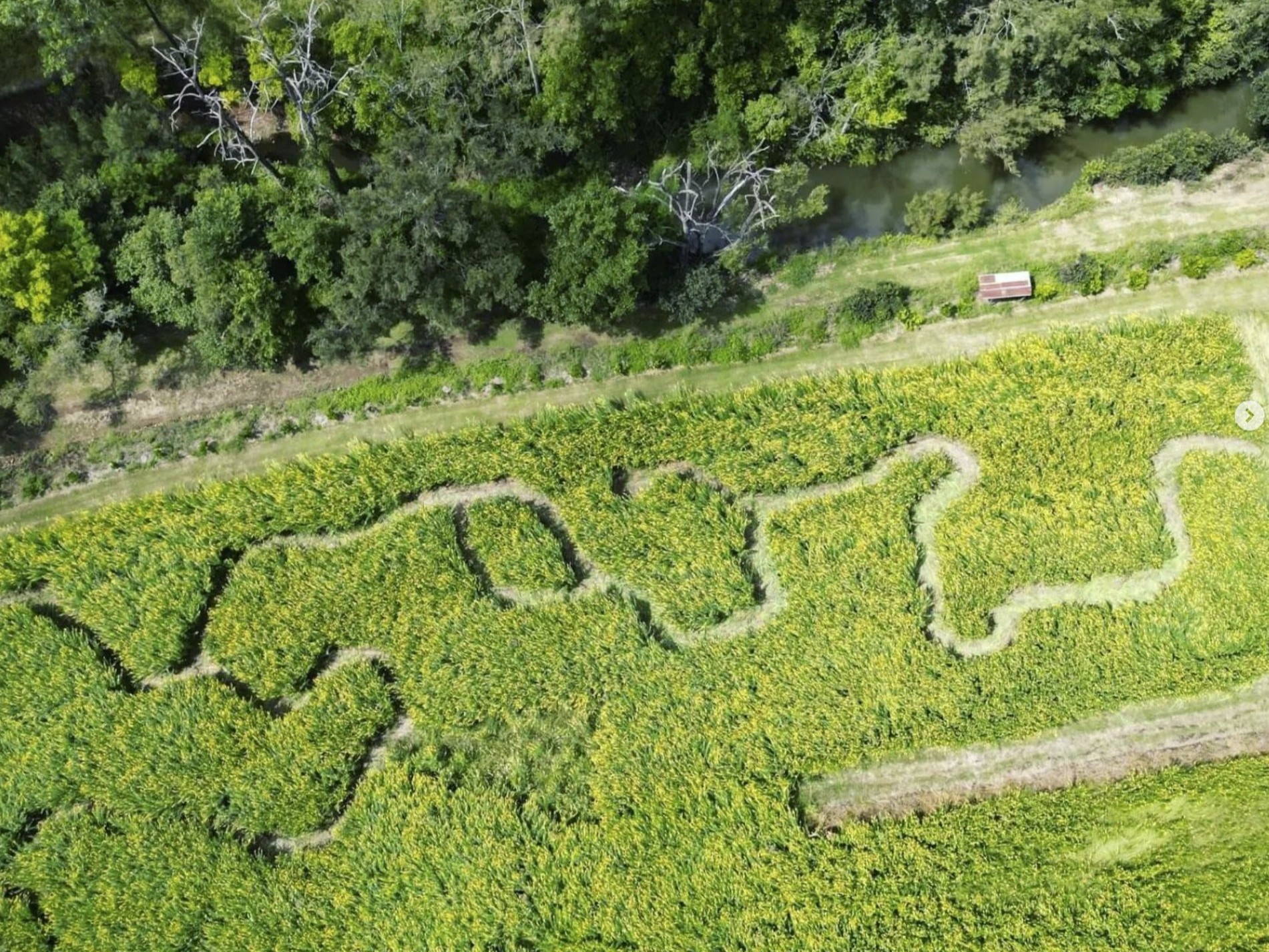 Ellia's Garden Voucher - Image 6