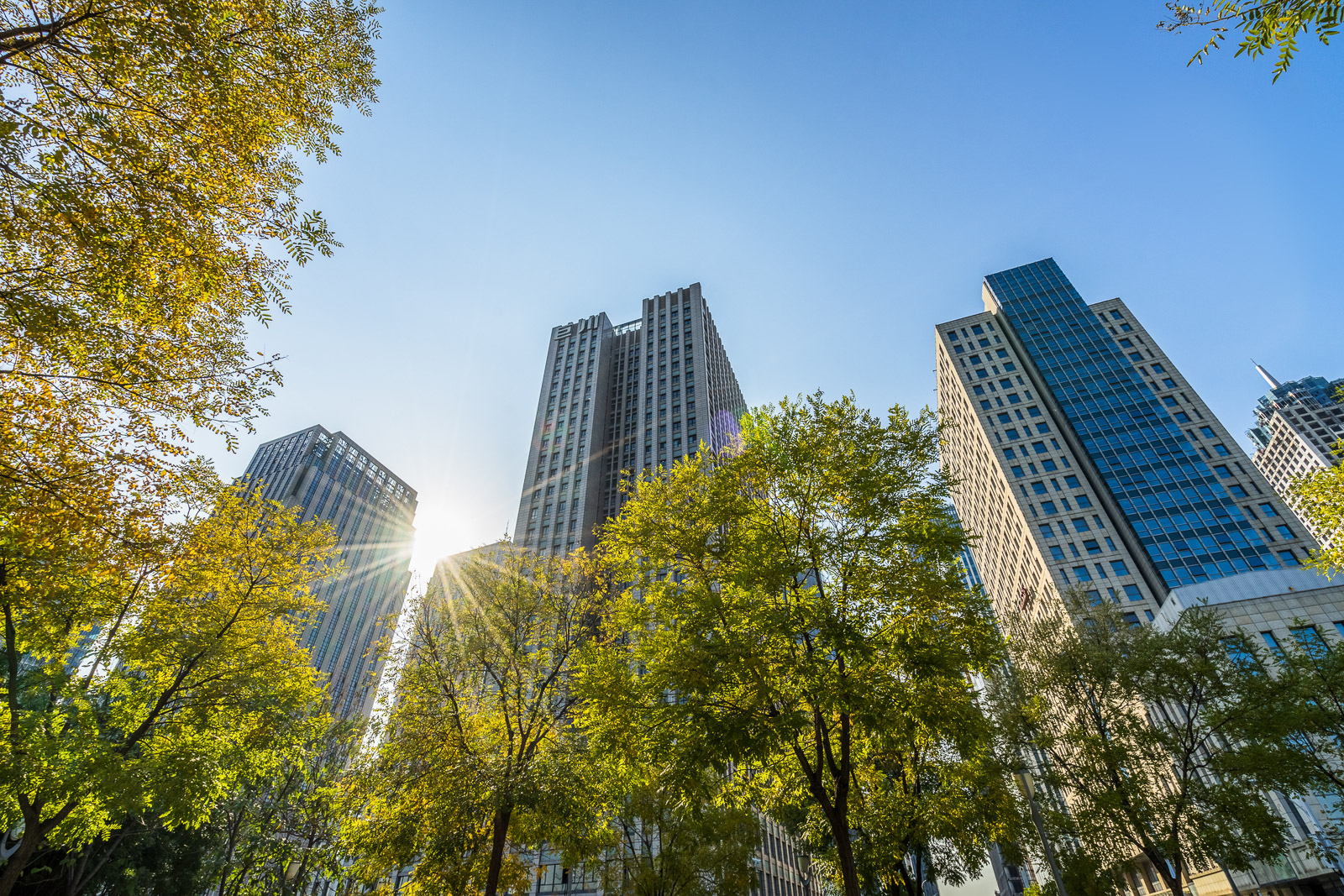Collaboration and determination key to sustainable outcomes