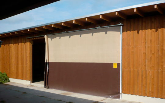 profile-6