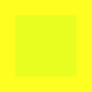 DAYGLOW YELLOW Leather