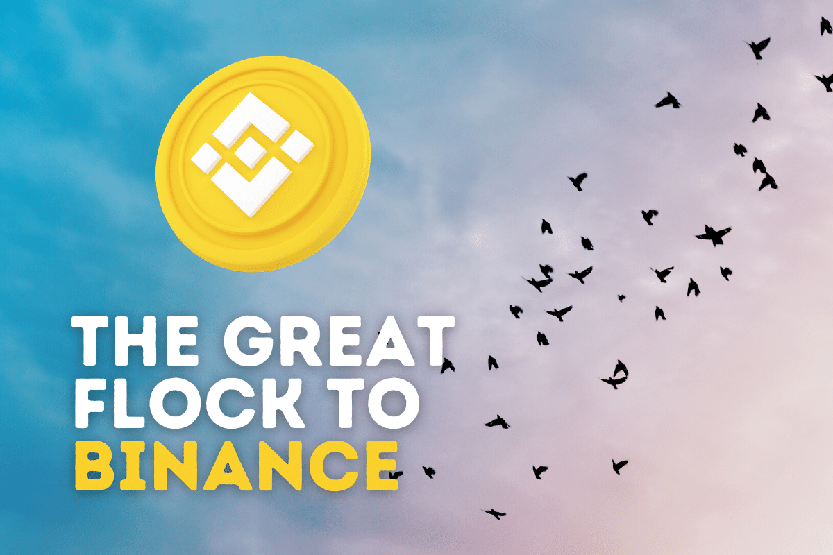 The Great Flock to Binance - A Natural Transition