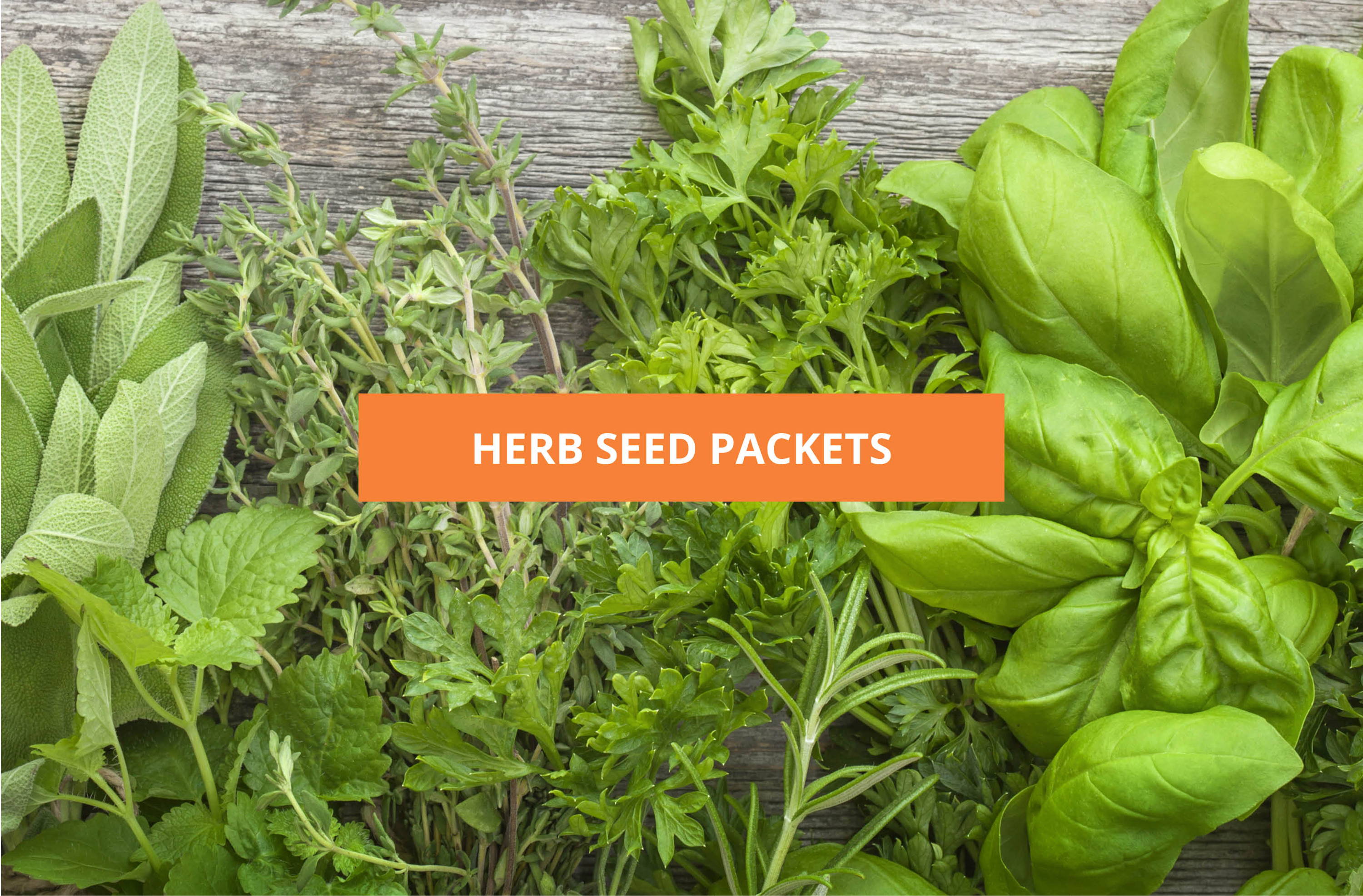 Herb Seed Packets