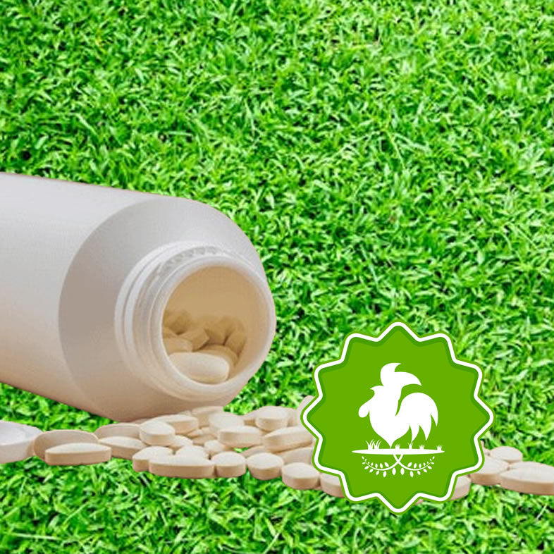 Ivermectine – Ecoboerderij De Haan