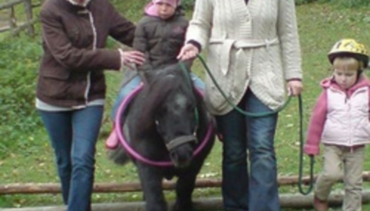 die reitzwerge reitübung hindernis