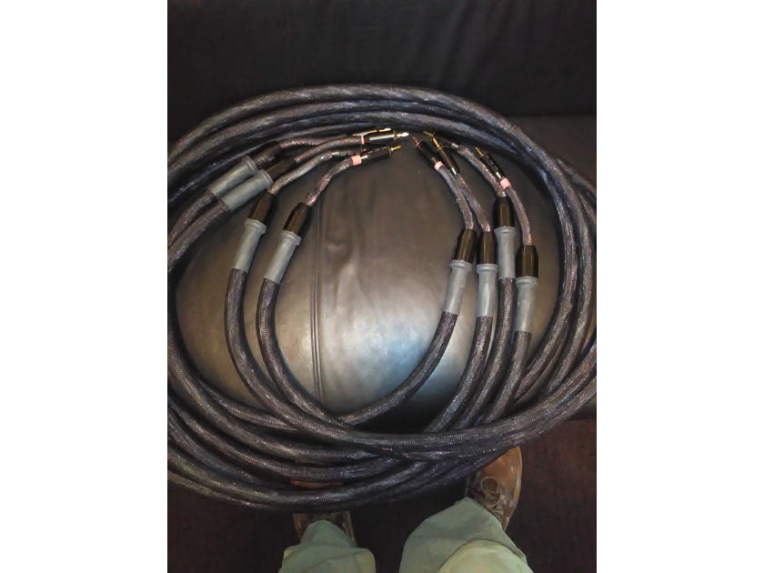 TARA LABS The .8 ("point 8") 10 ft reference speaker cables