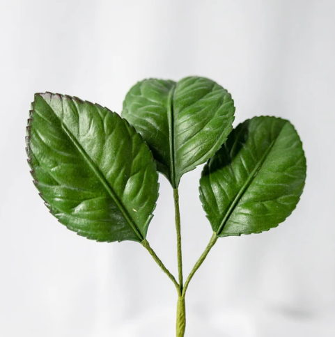 Rose Leaves (12 Pack) - Realistic Artificial Flowers and Greenery - Image 2