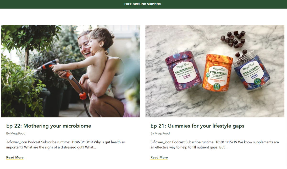 Screenshot of MegaBlog, from the shopify blog examples collection.